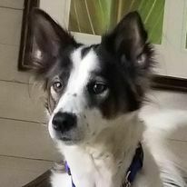 Fundraising Page: Kristina O'Connor